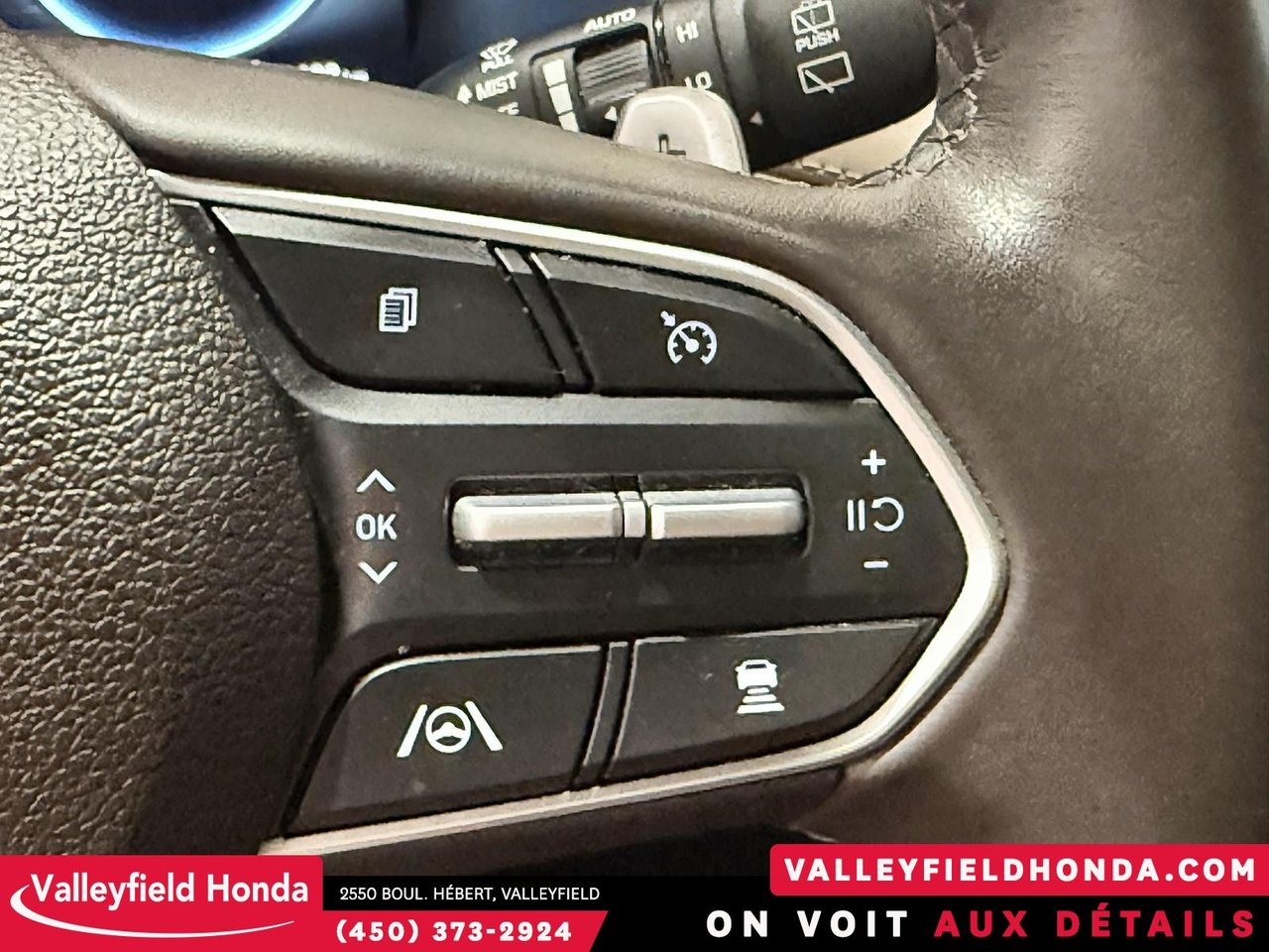 2022 Hyundai Santa Fe Plug-In Hybrid LUXURY HYBRIDE BRANCHABLE-17