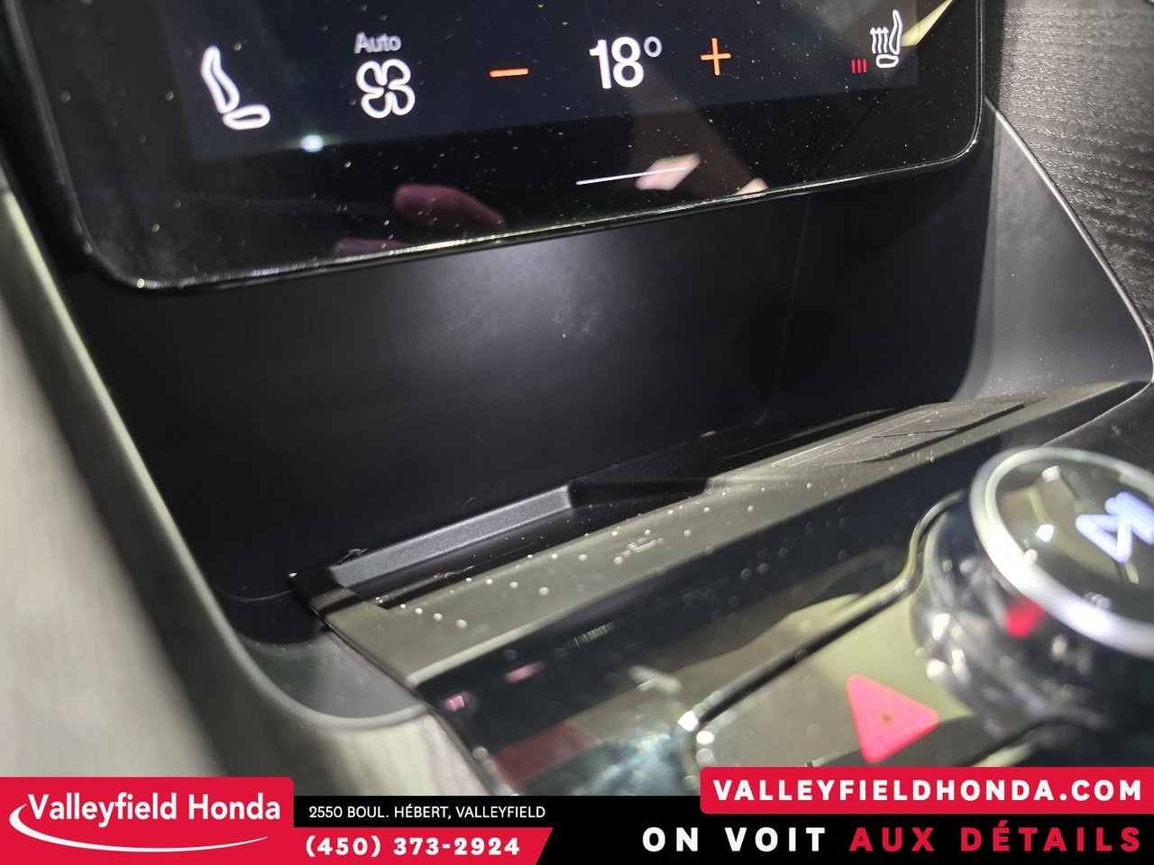 2021 Polestar 2 Launch Edition - 408HP - IMPECCABLE-21