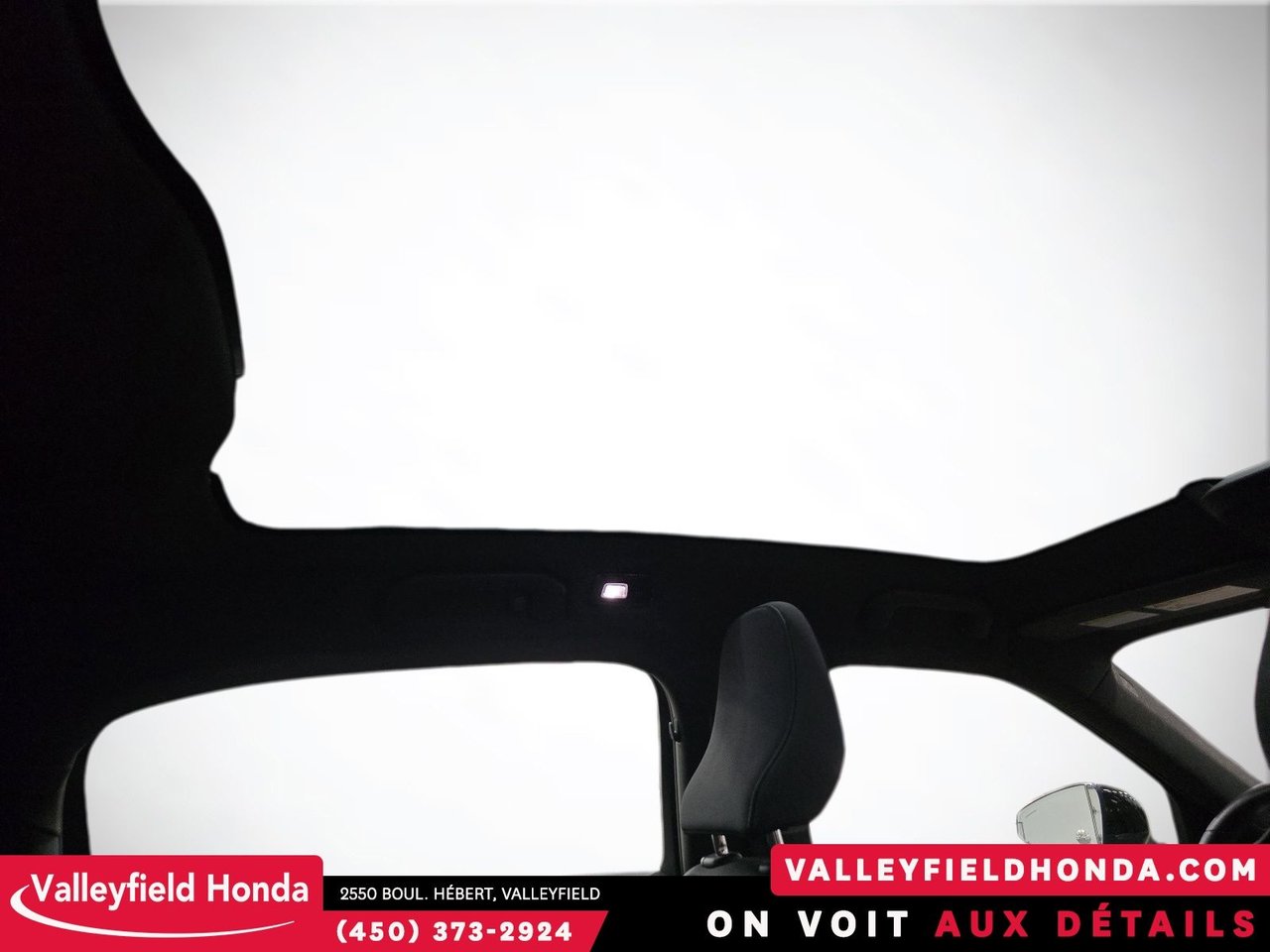 2021 Polestar 2 Launch Edition - 408HP - IMPECCABLE-25