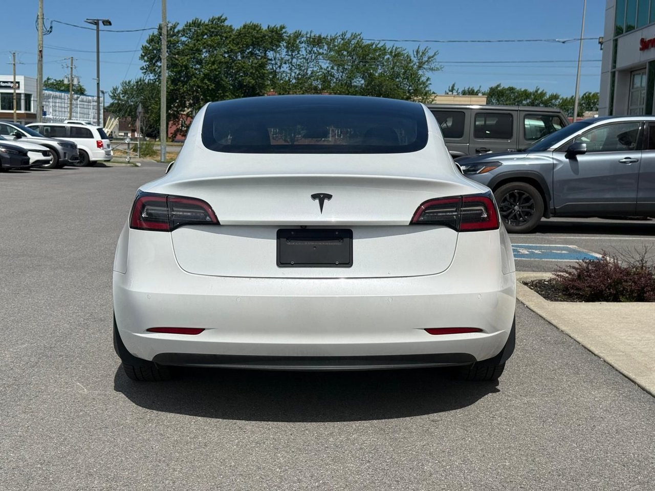Tesla Model 3 model 3 2021-5