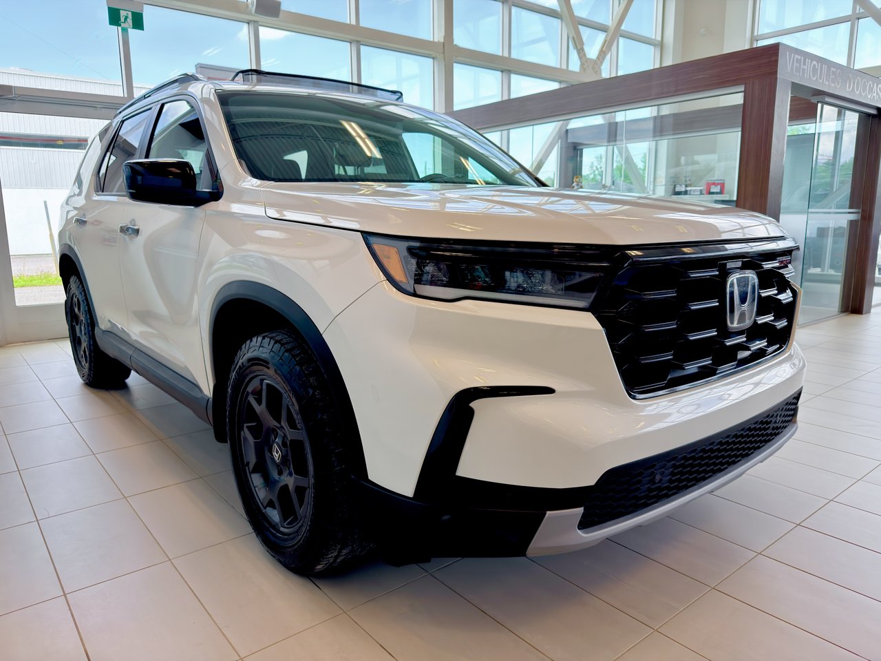 2023 Honda Pilot TrailSport-7