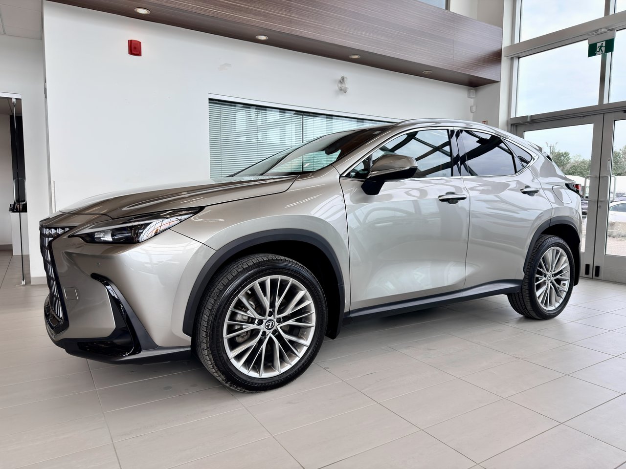 2022 Lexus NX 350-1