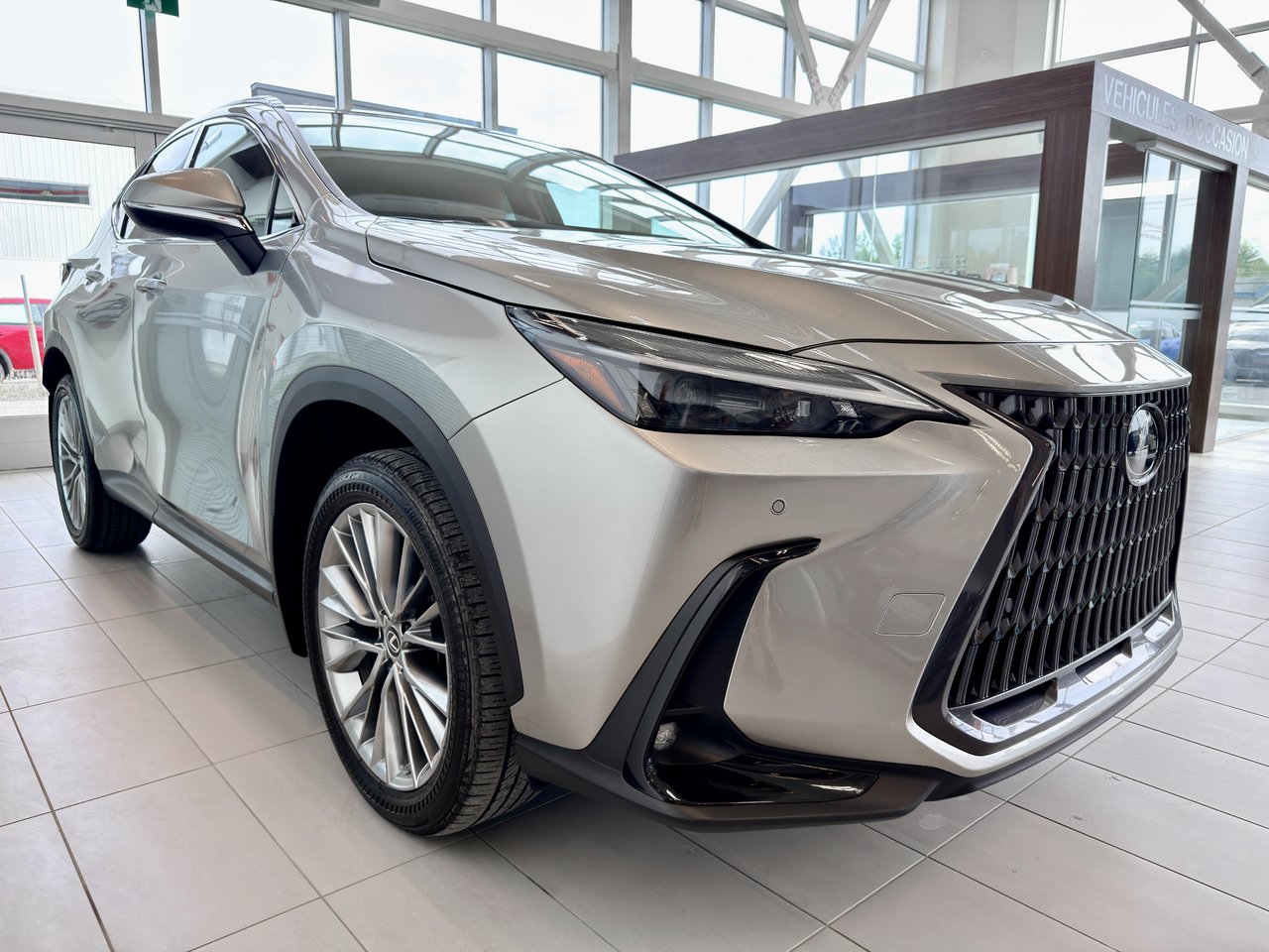 2022 Lexus NX 350-5