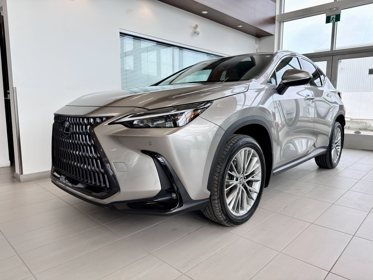 2022 Lexus NX 350-3