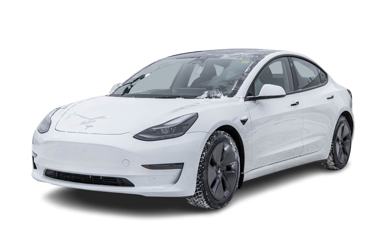 2023 Tesla Model 3 RWD