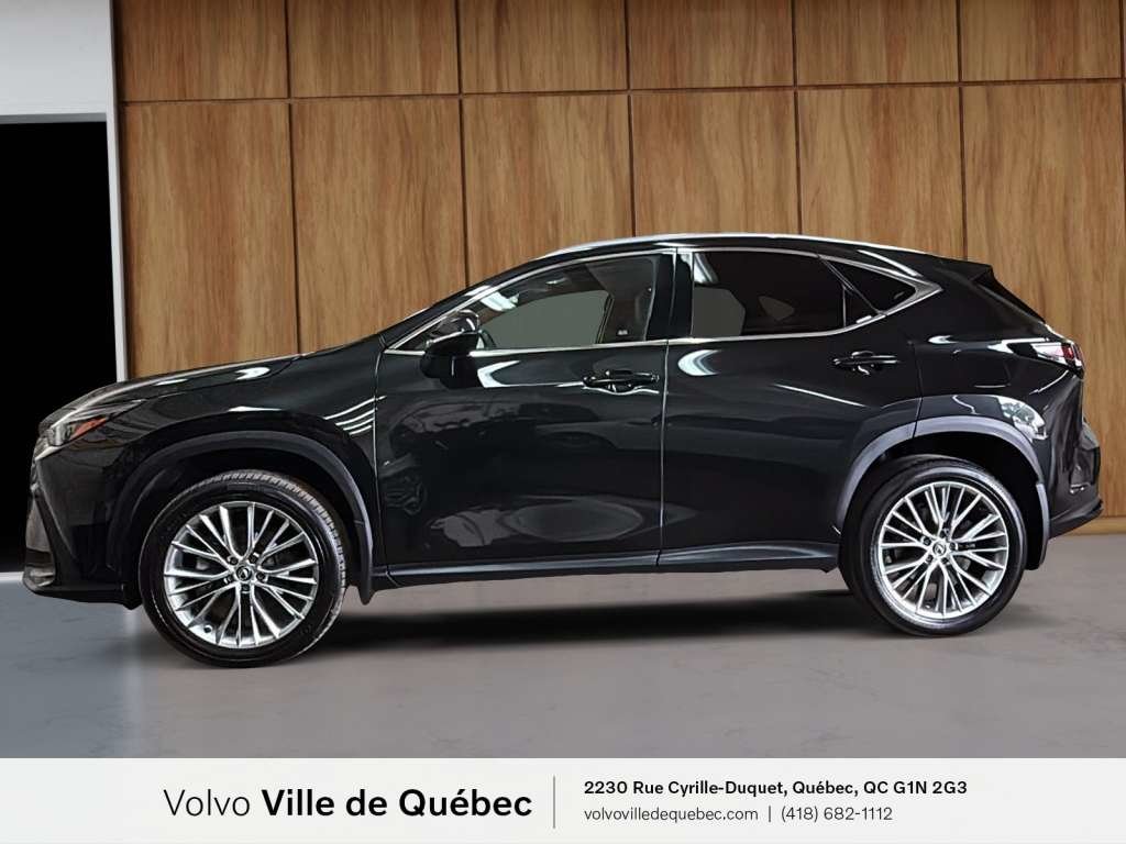Lexus NX-Series NX350 Premium 2024-6