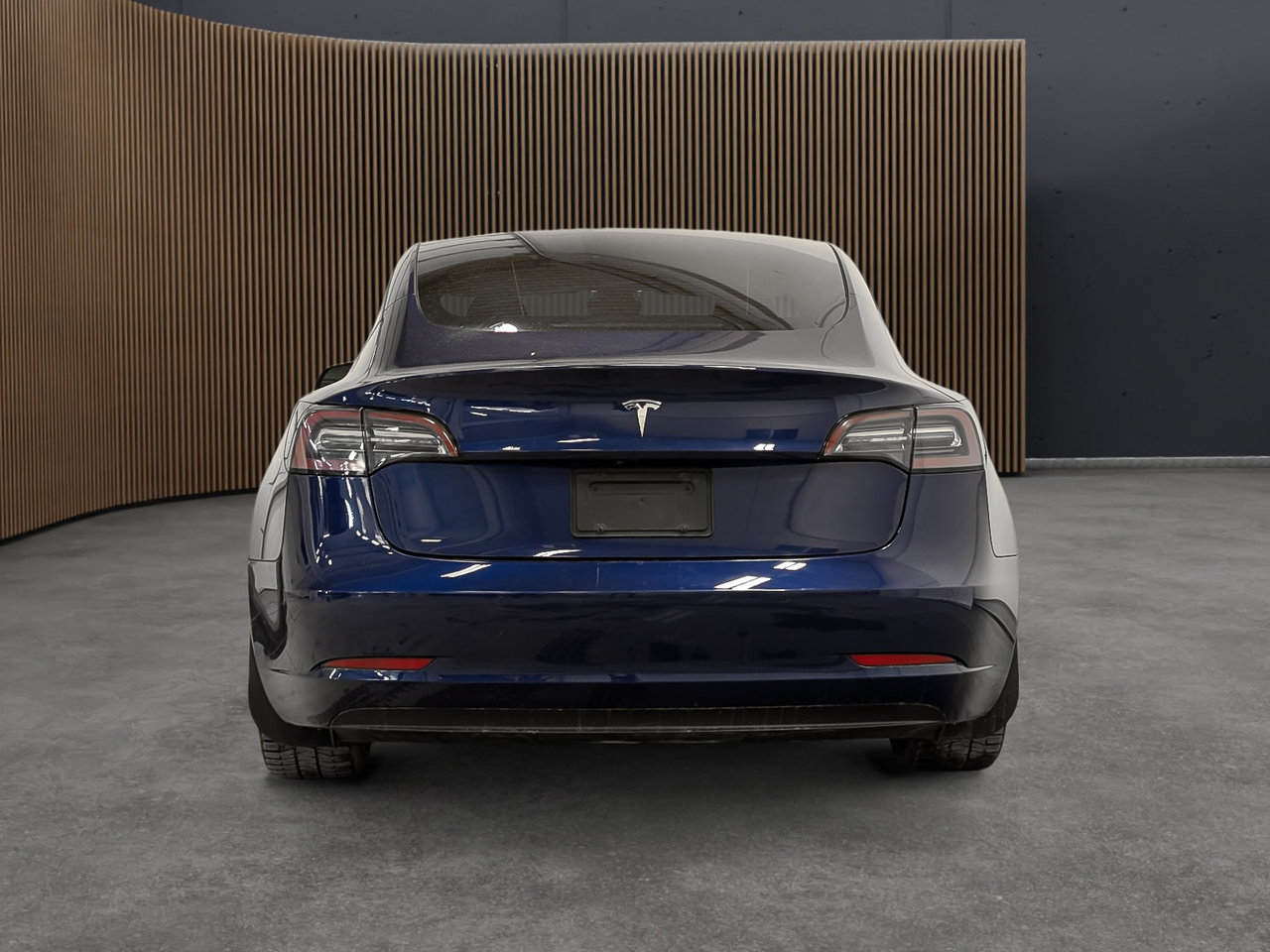2022 Tesla Model 3 RWD-5
