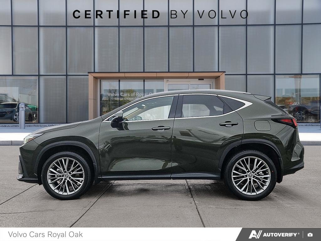 2023 Lexus NX 350-2