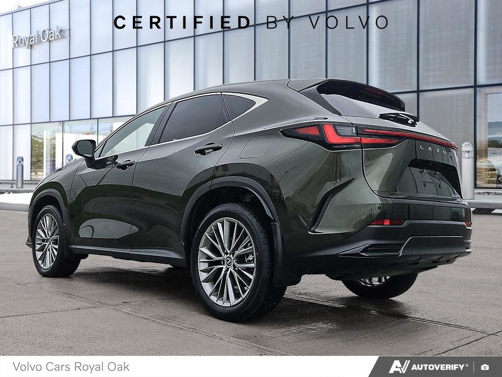 2023 Lexus NX 350-3
