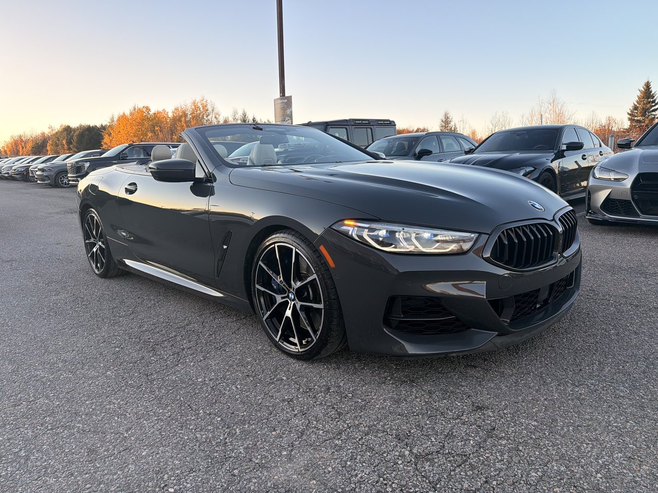 2020 BMW Série 8 M850i xDrive - 2D Cabriolet-0