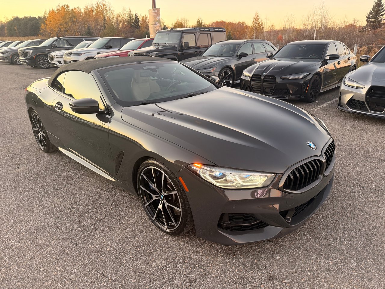 2020 BMW Série 8 M850i xDrive - 2D Cabriolet-36
