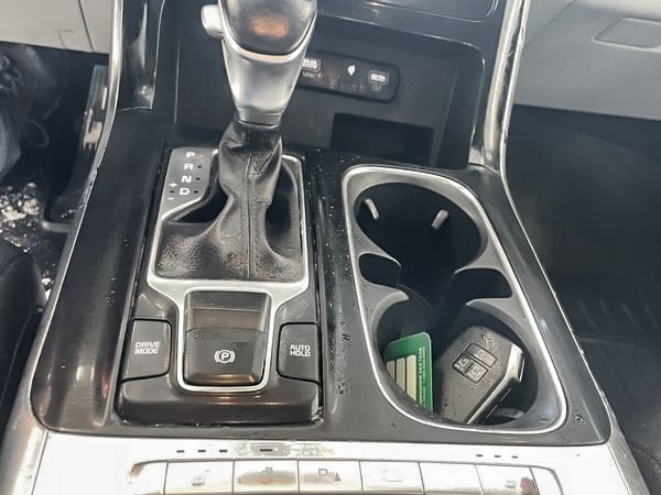 Kia Carnival EX 2022-19