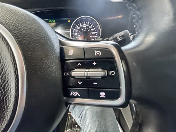Kia Carnival EX 2022-13