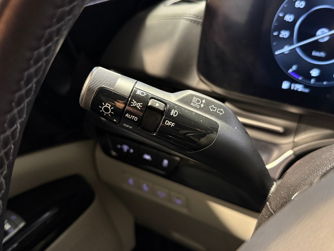 Kia Carnival SX 2024-18