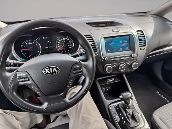2018 Kia Forte LX+-19