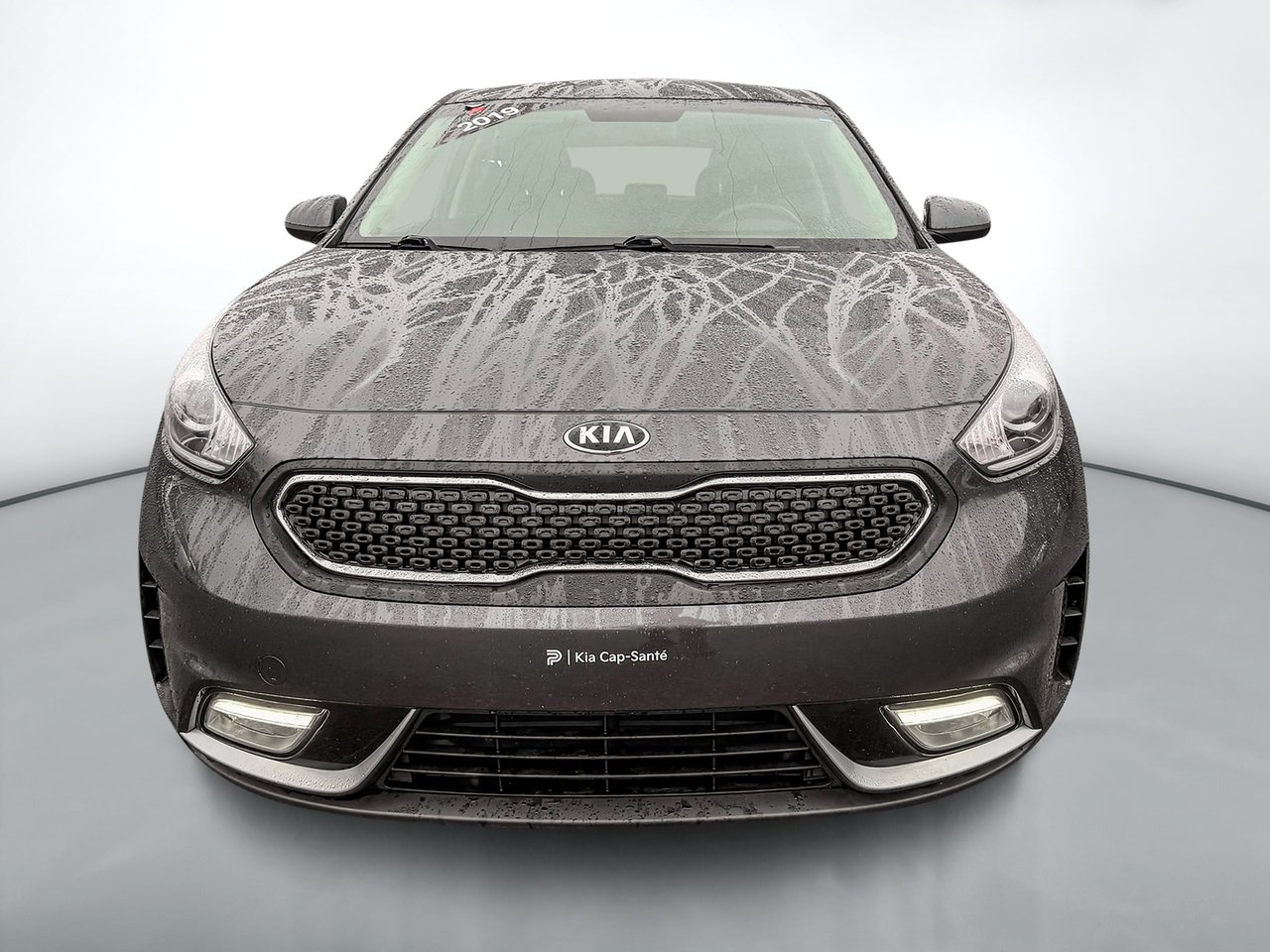 2019 Kia Niro L-1