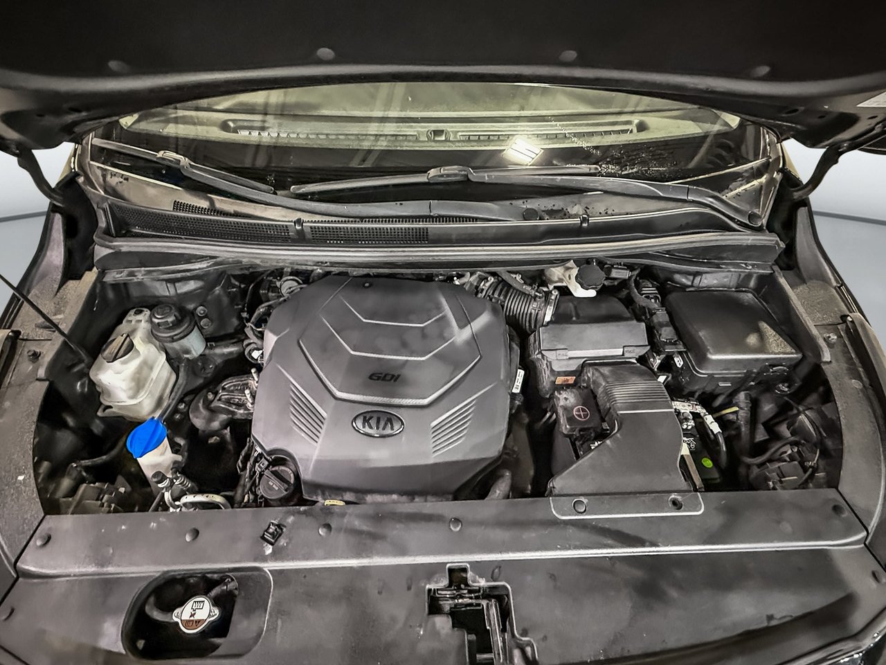 Kia Sedona LX 2019-25