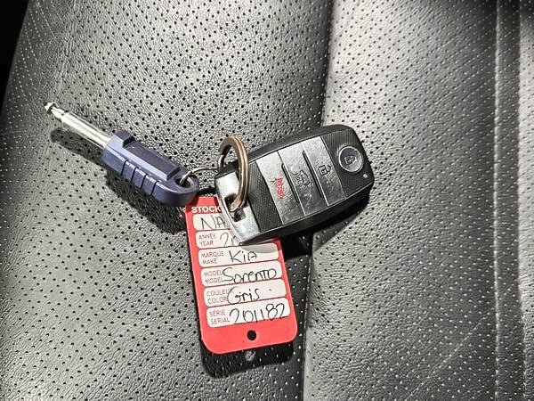2017 Kia Sorento EX+-25