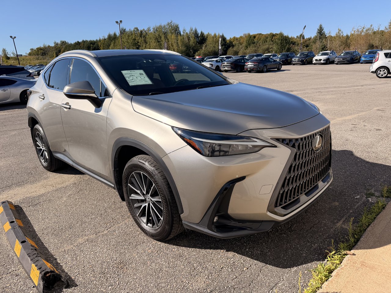2024 Lexus NX 350H BASE-0