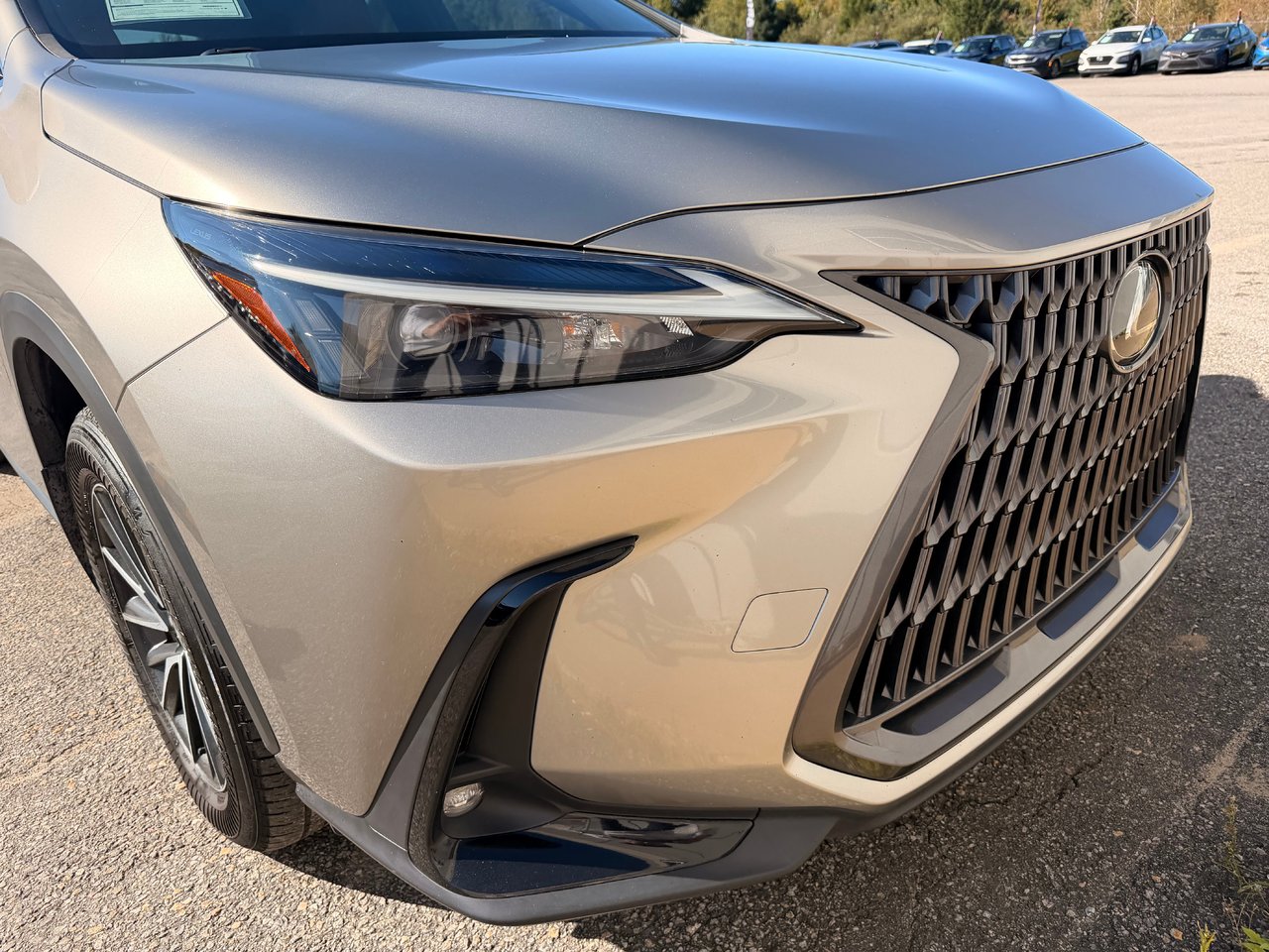 2024 Lexus NX 350H BASE-8