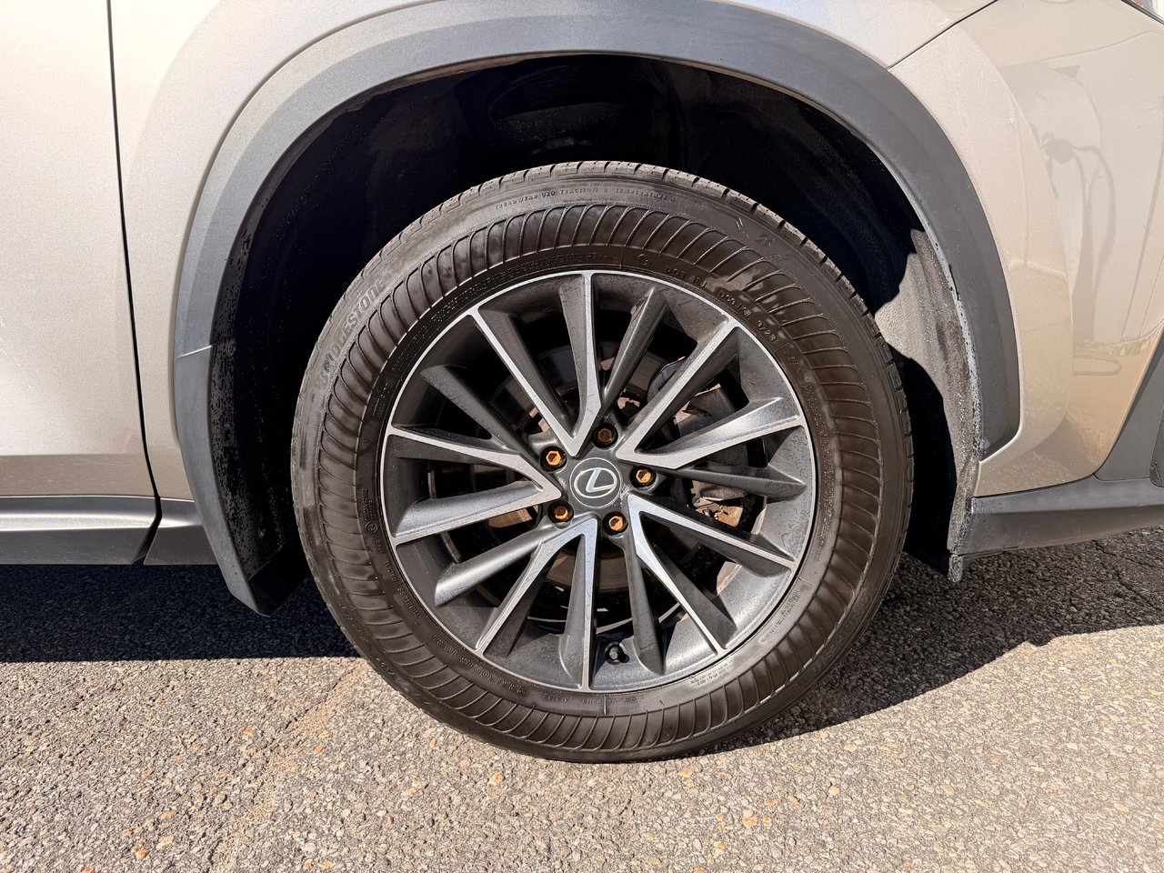 2024 Lexus NX 350H BASE-9