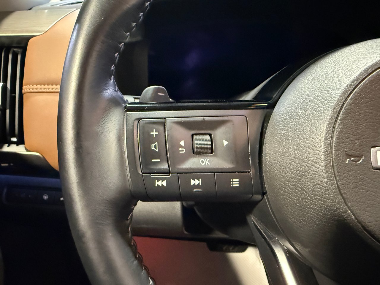 2025 Nissan Pathfinder Platinum-17