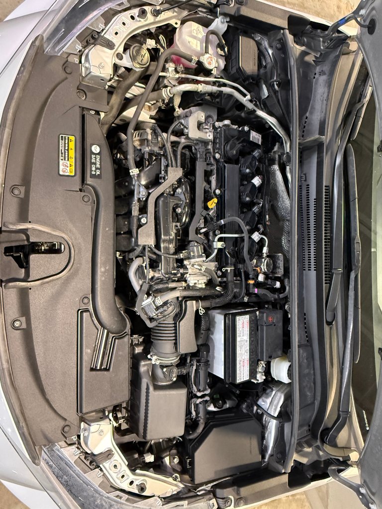 Toyota Corolla à hayon SE 2024-26