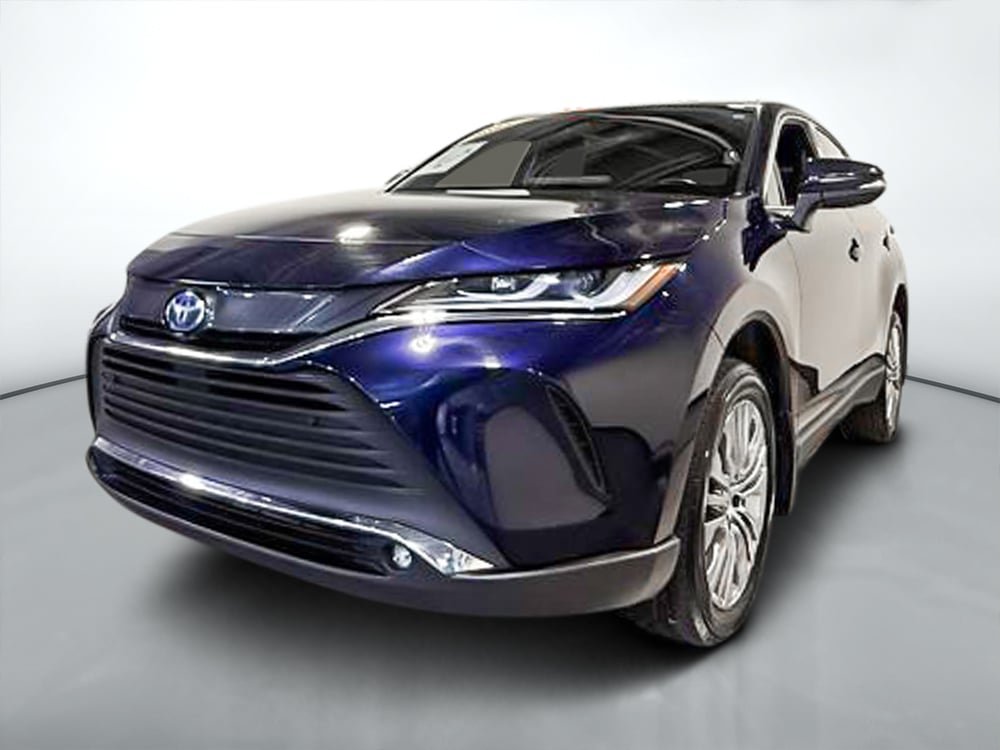 2024 Toyota Venza XLE-7