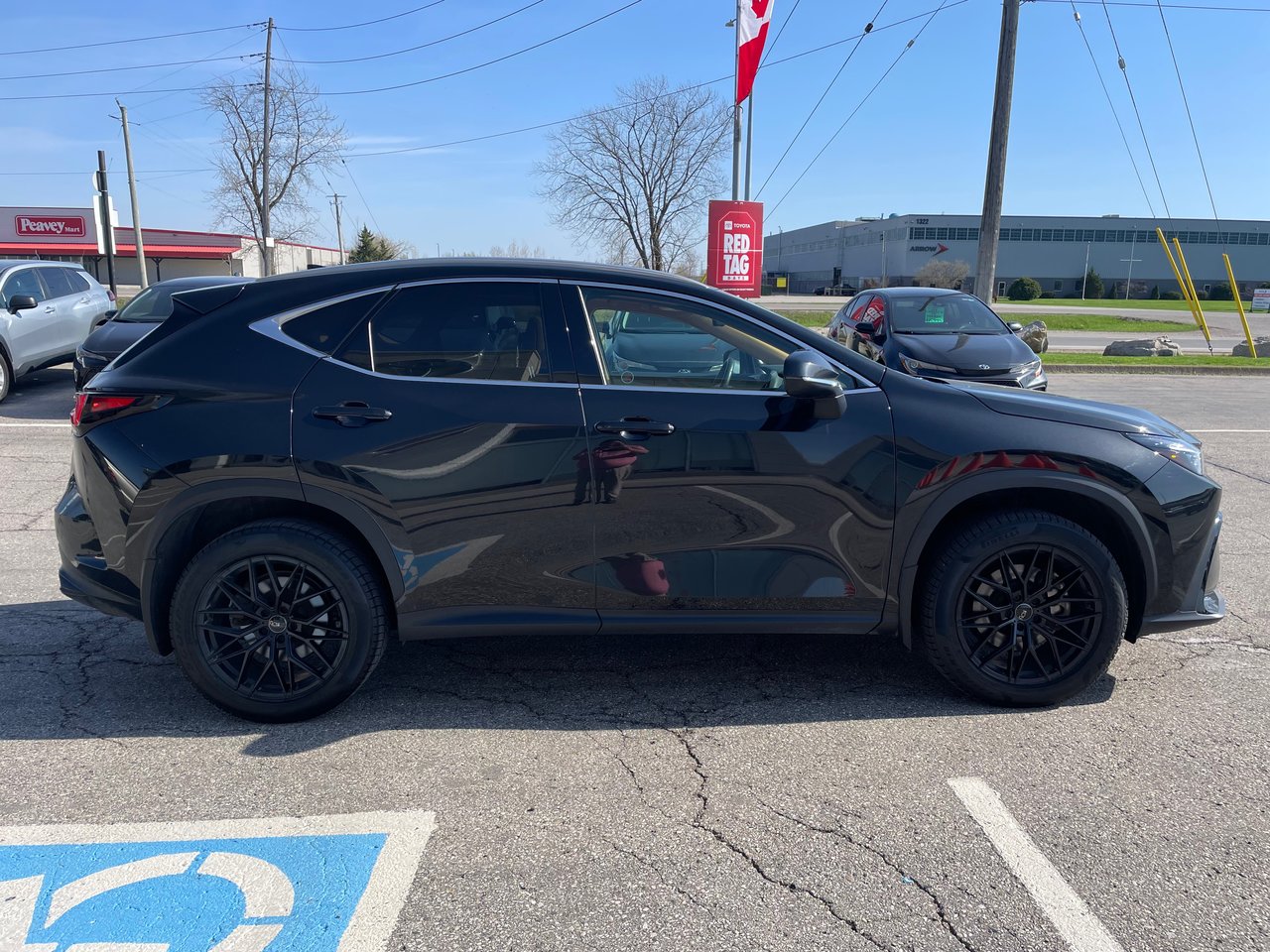 2024 Lexus NX 350h-3