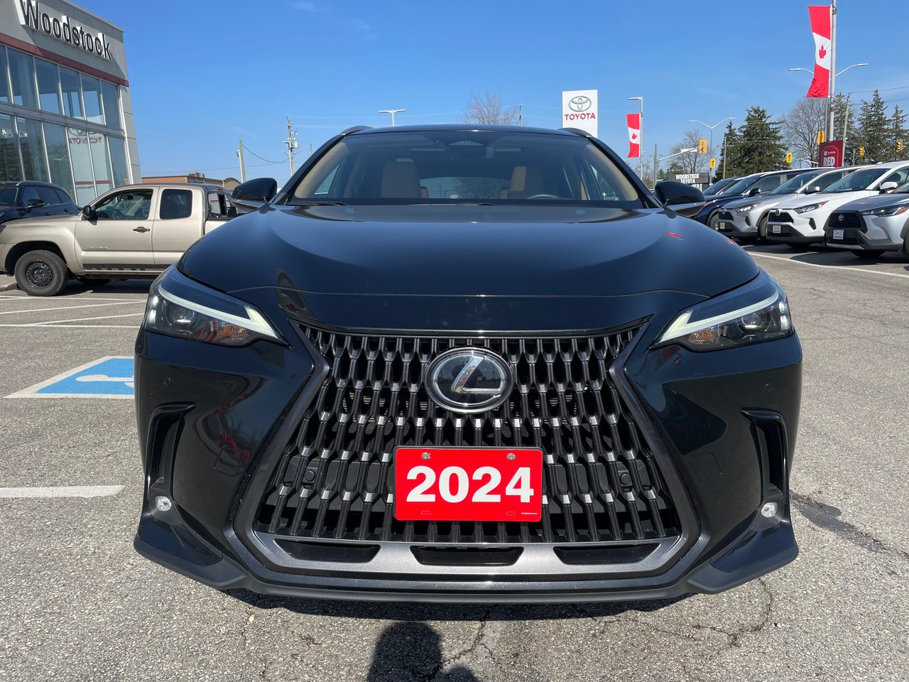 2024 Lexus NX 350h-4