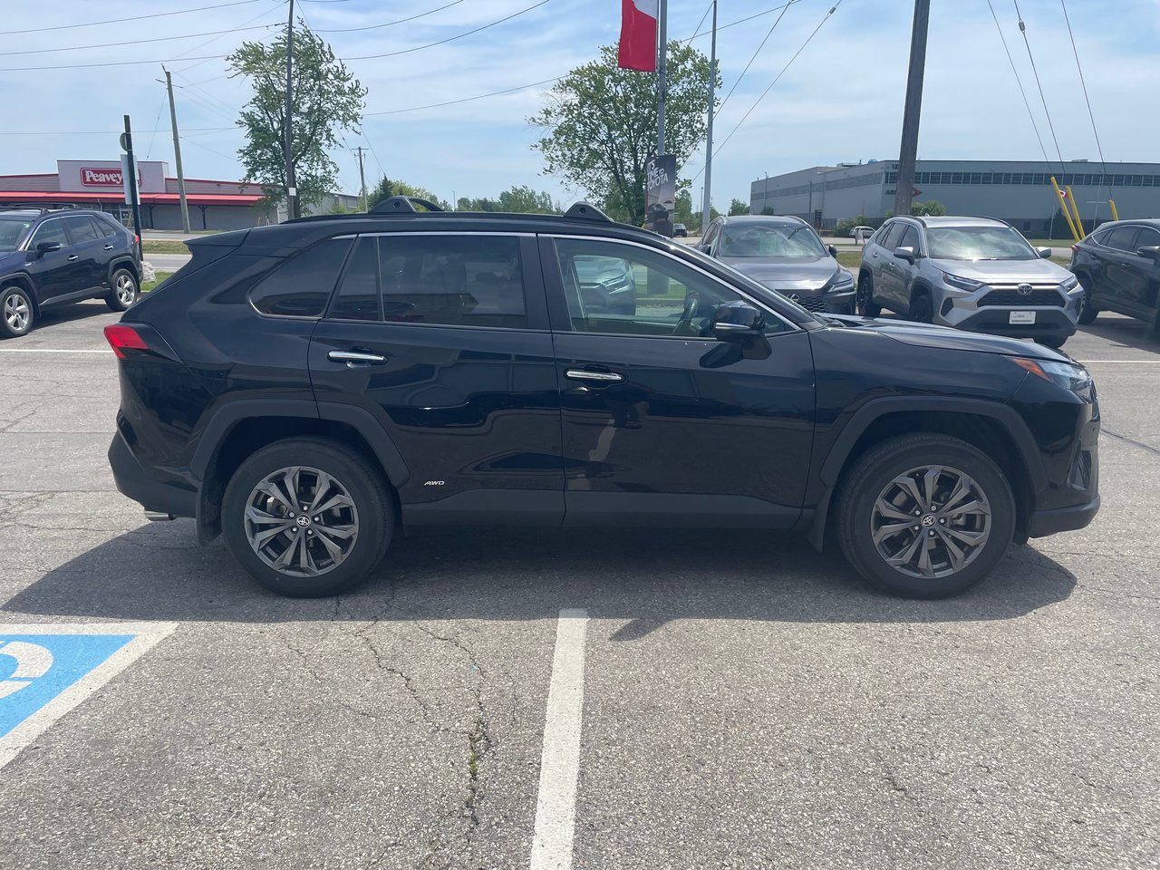 2025 Toyota RAV4 Hybrid Limited-3