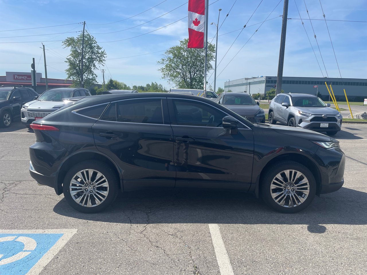 2024 Toyota Venza Limited-3