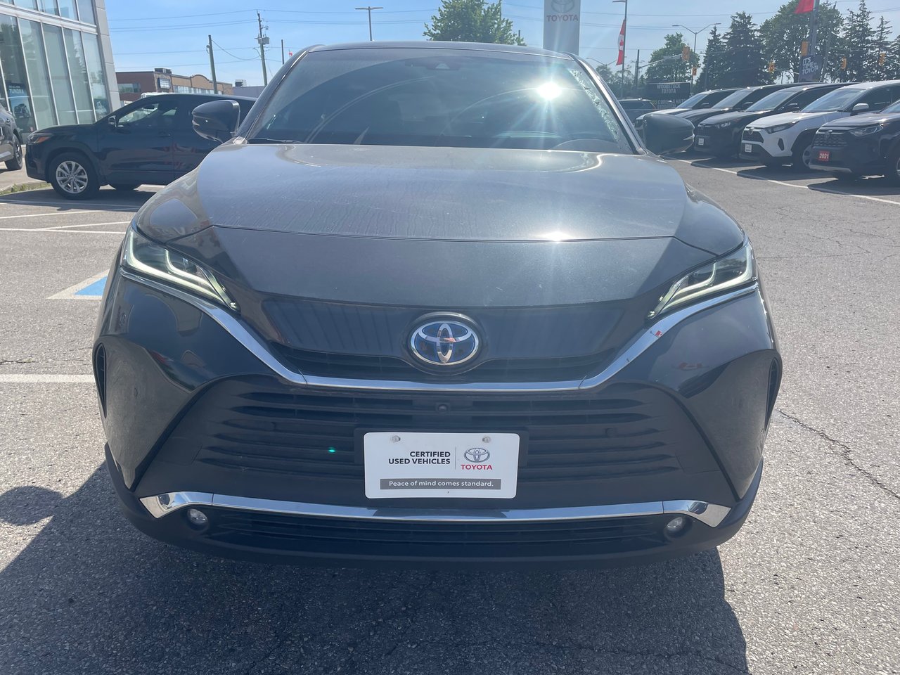 2024 Toyota Venza Limited-4