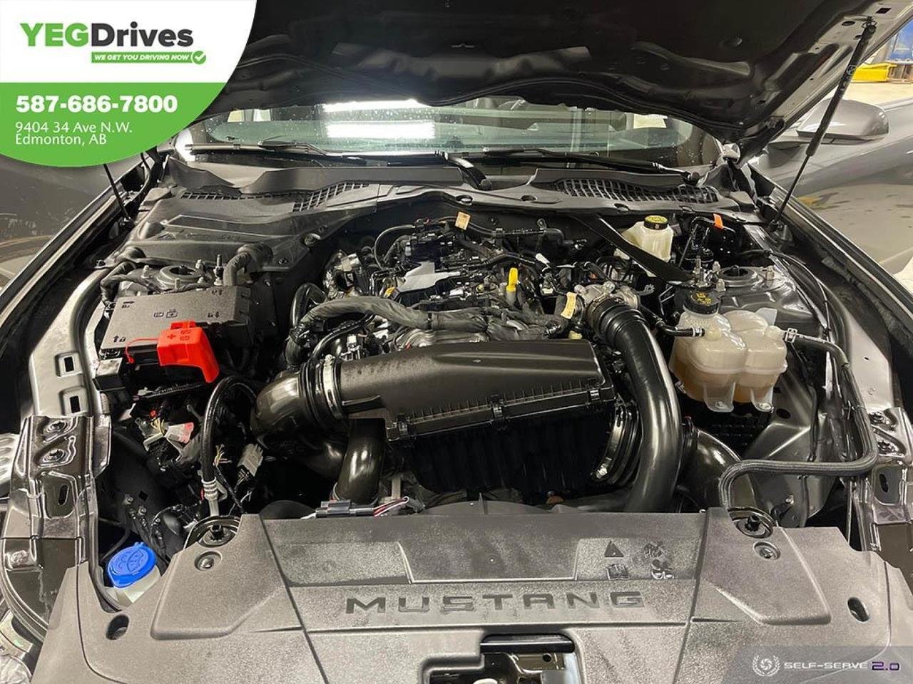 2024 Ford MUSTANG ECOBOOST-9