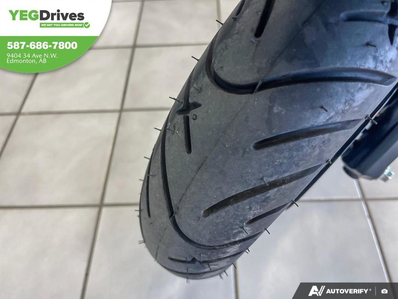 2025 Gio EAGLE LSM-6