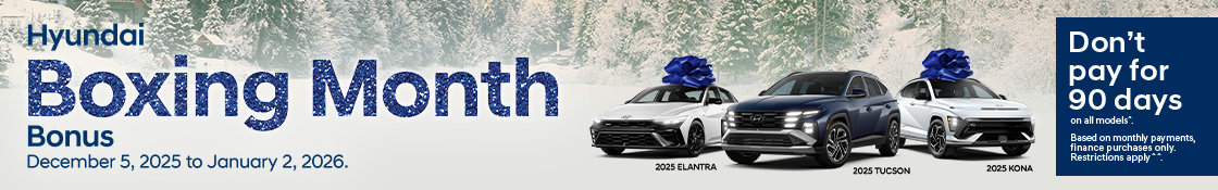 Boxing Month Hyundai Banner