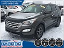 Hyundai Santa Fe SPORT PREMIUM **Jamais accidenté** 2013