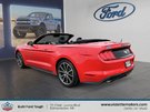 Ford Mustang ECOBOOST PREMIUM 2019