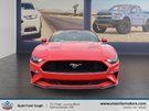 Ford Mustang ECOBOOST PREMIUM 2019