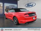 Ford Mustang ECOBOOST PREMIUM 2019