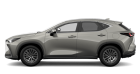 NX