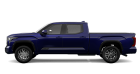 Tundra