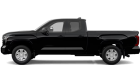 Tundra