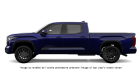 Tundra