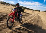 Photo Gallery: 2021 Honda CRF300L And 2021 Honda CRF300 Rally