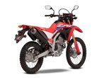 Photo Gallery: 2021 Honda CRF300L And 2021 Honda CRF300 Rally