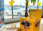 Drive Yellow For The Canadian Cancer Society