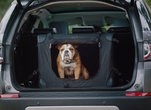 Land Rover launches animal accessories lineup