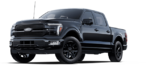 2025 FORD F-150 PLATINUM - Exterior view - 1