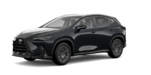 2025 LEXUS NX 250 SIGNATURE - Exterior view - 1